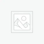 Meat Chicken Cutlets